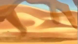 1 hour of Simba Running Through the Desert Busa The Lion King [upl. by Cissiee]