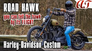 2023 HarleyDavidson STREET BOB Custom ROAD HAWK [upl. by Saduj]