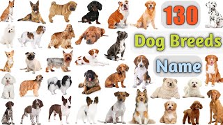 Dog Breeds Vocabulary ll 130 Dogs Breeds Names In English With Pictures ll 100 Popular Dogs [upl. by Turnheim701]