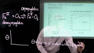 Topic 68  Intro to ligand binding curves [upl. by Novak]