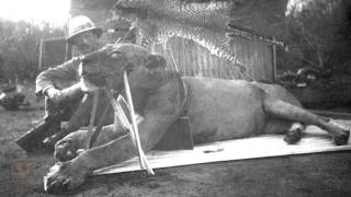 The tale teeth tell about the legendary maneating lions of Tsavo [upl. by Nnairda]