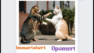 Openwrt vs Immortalwrt Openwrt fork firmware Bangla Video [upl. by Nylorahs]