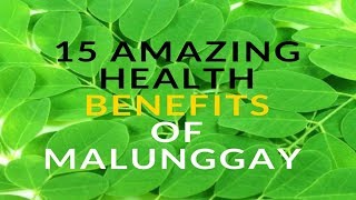 15 Amazing Health Benefits of Moringa  Malunggay [upl. by Eanahs799]