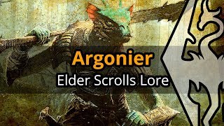 Argonier von Schwarzmarsch  Elder Scrolls Lore [upl. by Llibyc]