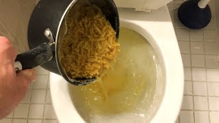 Will it Flush  Macaroni amp Cheese [upl. by Gerlac]