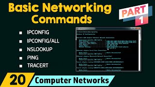 Basic Networking Commands Part 1 [upl. by Florence]