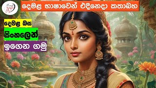 අපි දෙමළ කතා කරමු  මූලික පාඩම්  Lets Speak Tamil  Basic to Advanced Lessonsquot  Punchi Danuma [upl. by Aehc]