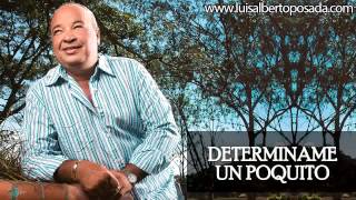 Luis Alberto Posada  Determiname Un Poquito Audio Oficial [upl. by Barimah]