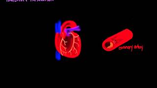 Ischemia and Infarction [upl. by Cralg]