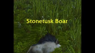 Stone Tusk Boar [upl. by Fosdick]