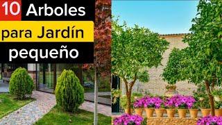 Árboles para jardín pequeño [upl. by Earized]