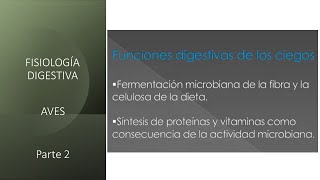 Fisiología digestiva Aves  Segunda parte [upl. by Aititel546]