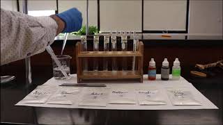 Test 2 Drug Identification Lab  Solubility Test [upl. by Adnawad]