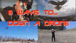 Down a Drone 8 ways to take out drone [upl. by Erodasi]