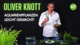 OLIVER KNOTTs Geheimtipps ▷ Warum InVitro Pflanzen besser als Topfpflanzen sind [upl. by Demaggio]