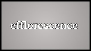 Efflorescence Meaning [upl. by Aynik]