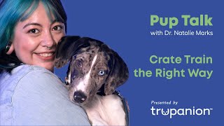 How to Crate Train Your Puppy Trupanion Pup Talk [upl. by Licha396]