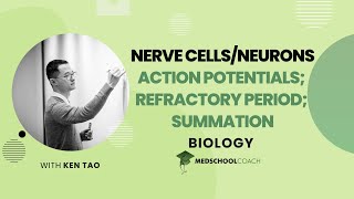 Action Potentials Refractory Period and Summation [upl. by Kariv]