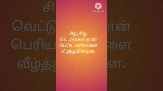 Quotes  23  Calendar quotes  July 29 2024 calendar motivation tamilcalendar thathuvam [upl. by Ledoux]