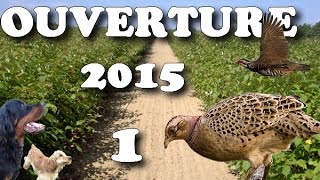 OUVERTURE CHASSE 2015 1 CALIBRE 410 PHEASANT HUNTINGCACCIA SELVAGGINACAZA MENORОХОТА НА ФАЗАНА [upl. by Niroht]