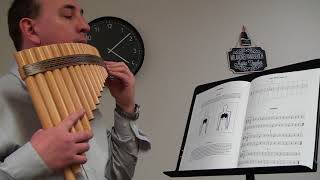 Teach yourself Pan Flute Easy lessons Study 1 to 8 [upl. by Halden]