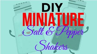 DIY Miniature Salt and Pepper [upl. by Anoek871]