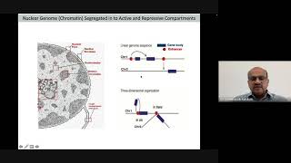 Human Genome and Epigenome Regulation Part 1 [upl. by Yonit683]