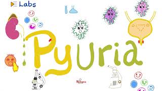 Pus in the Urine Pyuria  Urinary Tract Infections UTI  Urinalysis  Labs [upl. by Aynekat]