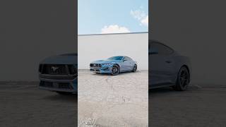 Brand New Mustang GT road ready😎 mustang gt v8 musclecar carspotting hp shelbygt mustanggt [upl. by Nivram]