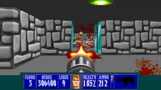 Wolfenstein 3D TLCM  Full Mod Playthrough  the most insane wolfenstein mod [upl. by Ellinnet]