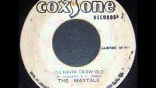 Ill Never Grow Old  The Maytals [upl. by Reibaj]