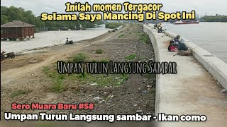 ini sih gila Umpan turun langsung di sambar ga pake lama MANCING DI MUARA BARU [upl. by Drofiar768]