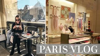 SHOPPING AT LOUIS VUITTON AND DINING IN PARIS [upl. by Dlanor616]