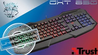 Trust GXT 830  Teclado Gamer Barato RGB UNBOXING [upl. by Hollinger]