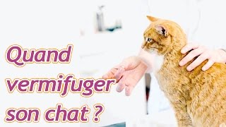 À quelle fréquence fautil vermifuger son chat [upl. by Hartill]