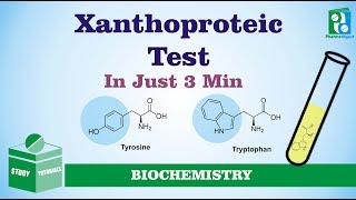 Xanthoproteic Test Just in 3 Minutes [upl. by Neibaf10]