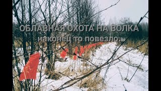 Облавная охота на волка Ружье ТОЗ87 traditional Russian wolf hunt [upl. by Weiman]