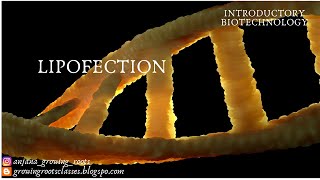 LIPOFECTION Malayalam  Gene transfer By Using Liposomes  Gene Transfer Techniques [upl. by Ulrika227]