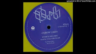 The Orb  Oxbow Lakes Everglades Mix by A Guy Called Gerald [upl. by Ahseniuq937]