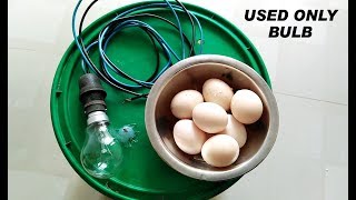 How to Make A Mini Egg Incubator At Home Using Only Bulb [upl. by Surovy]