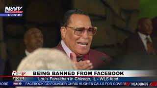 FACEBOOK BAN RALLY Louis Farrakhan in Chicago IL [upl. by Umeko]