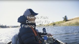 How to Fish Damselfly Fly Fishing Strategies  GoFishBC [upl. by Sapers771]