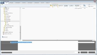 Word 2010 Schriftarten in Word Datei einbetten [upl. by Spiegelman158]
