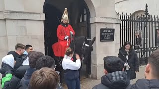 Tourist slaps horse across the face 3 times guard shouts step back gets police horseguardsparade [upl. by Gardal]