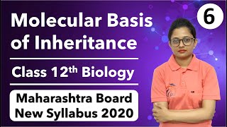 Molecular Basis of Inheritance Class 12th Biology Part 6 [upl. by Newsom]