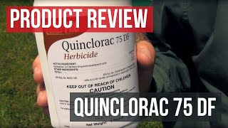 Quinclorac 75DF Crabgrass Herbicide Solutions Stores [upl. by Reppart]