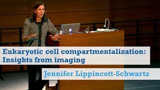 Eukaryotic cell compartmentalization Insights from imaging Jennifer LippincottSchwartz [upl. by Atilegna878]