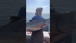 King salmon and giant lingcod fishing halibut fishing [upl. by Rhianon]