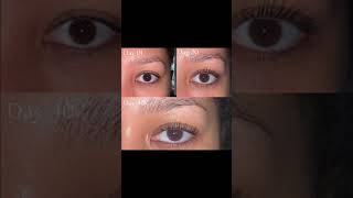 Best eyelash serum😍 subscribe youtubeshorts organicoillashgrowth [upl. by Ayotel]