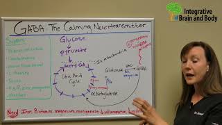 GABA  The Calming Neurotransmitter [upl. by Hamner523]